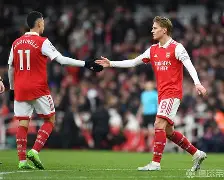 Kaiyuan开元-欧冠拜仁vs阿森纳录像